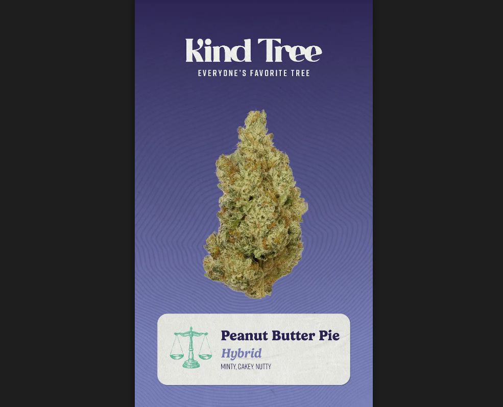 Kind Tree | Peanut Butter Pie | 3.5g Flower
