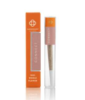 Preroll: Connect (Strawberries & Cream)