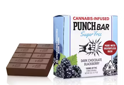 100mg Sugar Free Blackberry Dark Chocolate