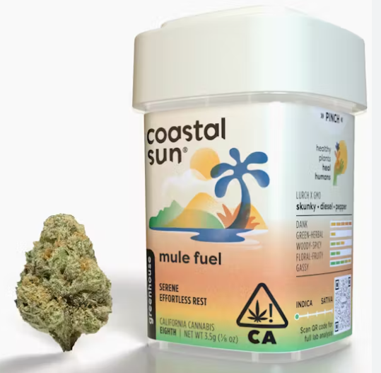 Coastal Sun - Flower: Mule Fuel