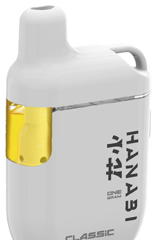 Strawberry Kiwi Disposable