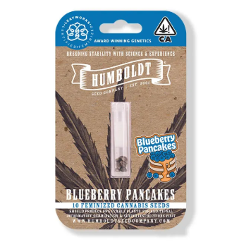 Blueberry Pancakes Feminized Seeds