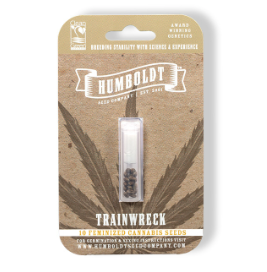 Humboldt Seed Company All Gas OG (FEM) 3 pack