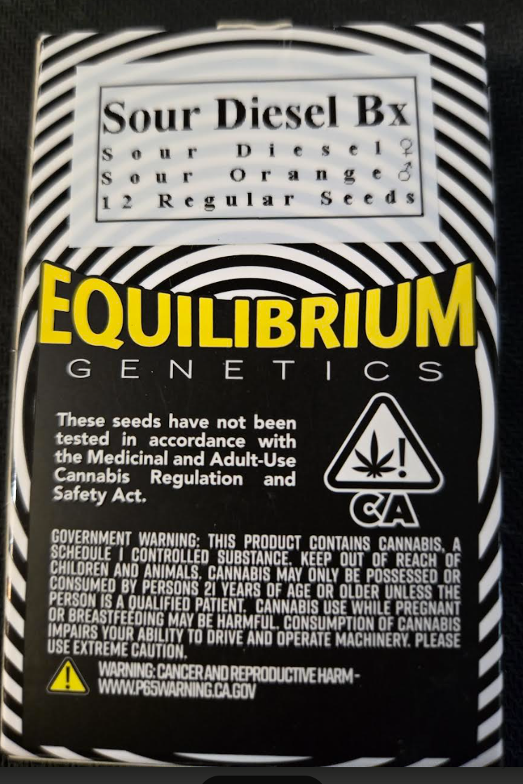 12pk Sour Diesel Bx Regular Seeds - EQG