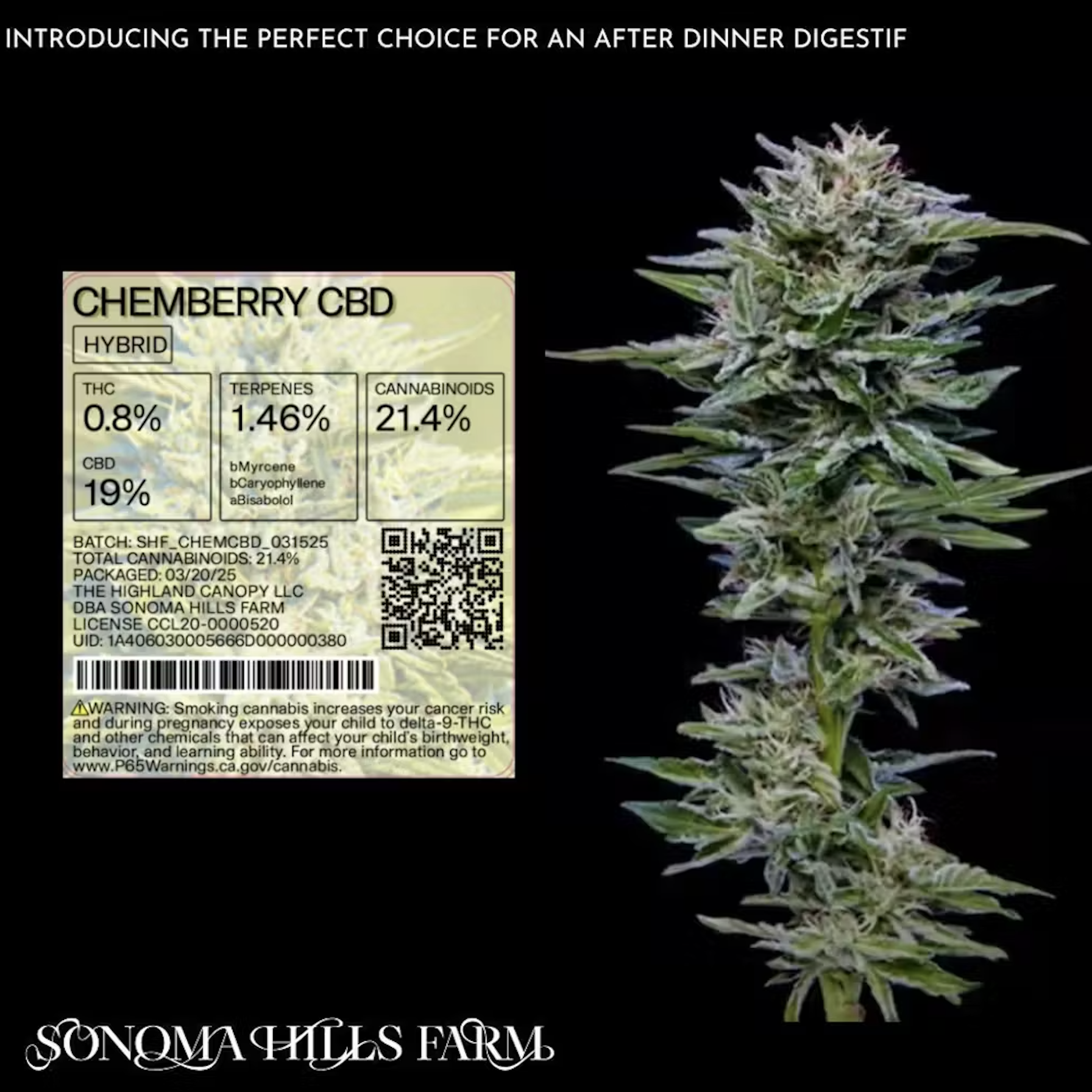 Chemberry Cbd Sun Grown 8th