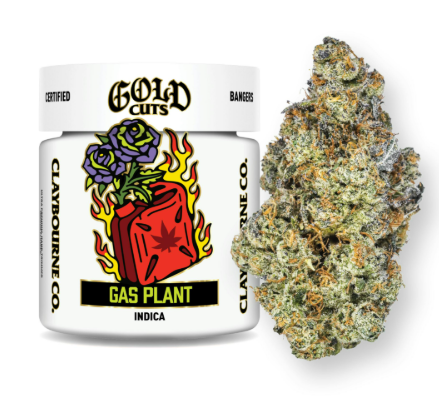 Flower: Gas Plant (Gold Cuts)