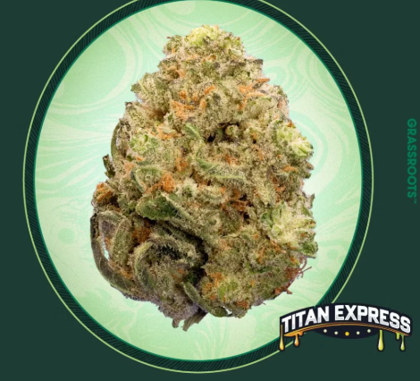 Grassroots | Flower - Titan Express | 3.5g