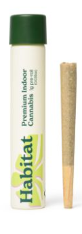 Ronin OG Preroll