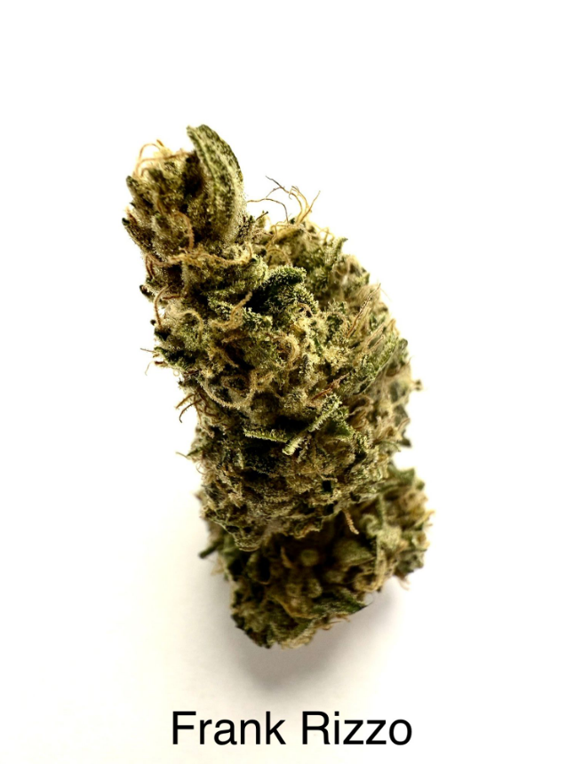 Frank Rizzo 3.5g Flower Jar | Wavy