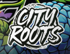 CITY ROOTS: Sour Watermelon Gummy Puck 1 Piece/100mg (I)