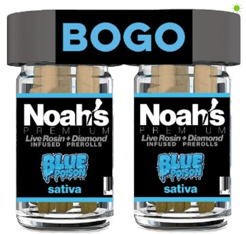 10pk (.5g) Blue Poison Sativa Infused Prerolls - Noah's