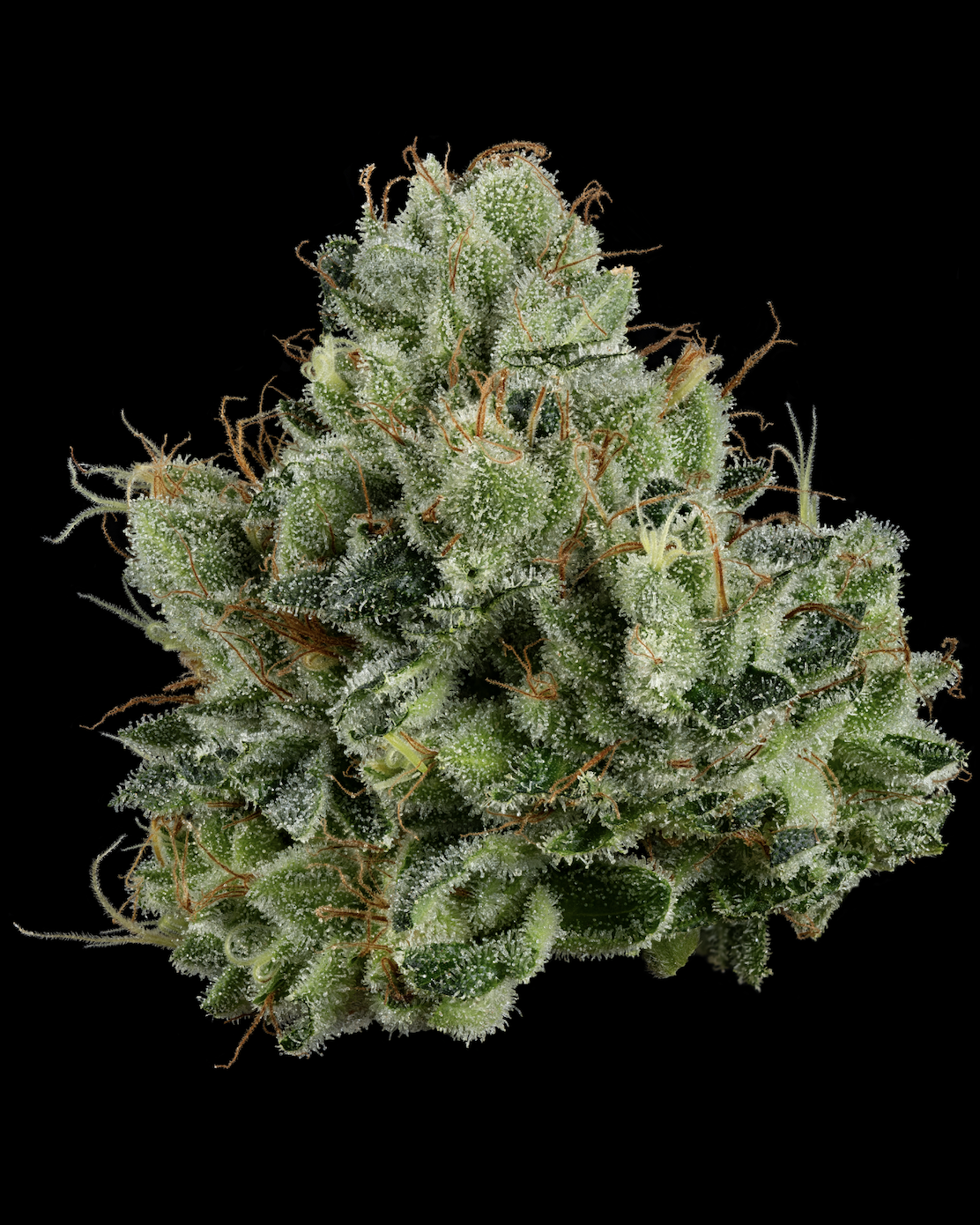 U4EA Permanent Marker 3.5g