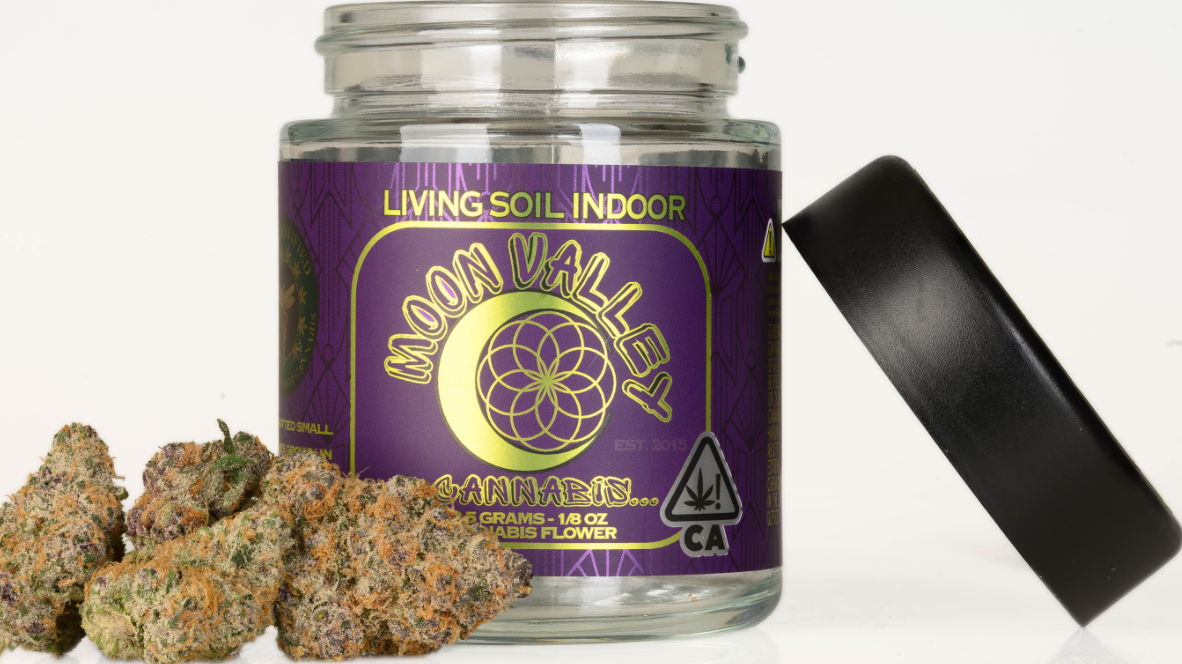 Cherry Limedog Indoor Living Soil