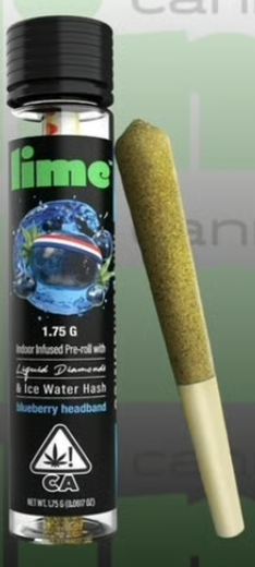 Lime: Blueberry Headband
