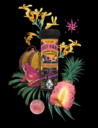 Kiva Lost Farms Live Rosin Gummies Pink Pineapple