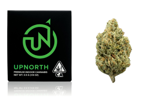 Flower: Cherry Pie