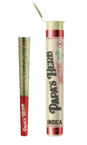 Preroll: Papaya Punch