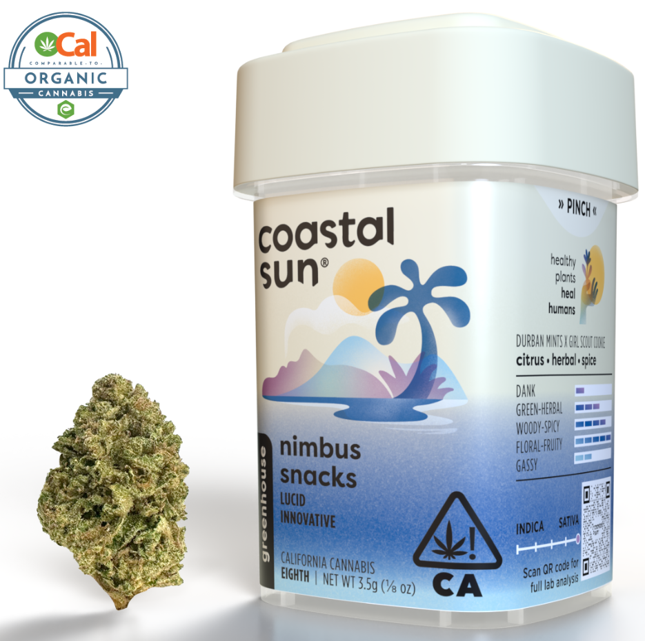 Coastal Sun - Flower: Nimbus Snacks