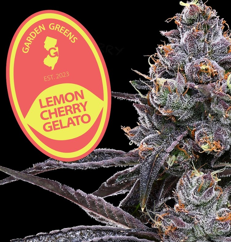 Flower | Garden Greens | Lemon Cherry Gelato | 14g Mixed Nugs