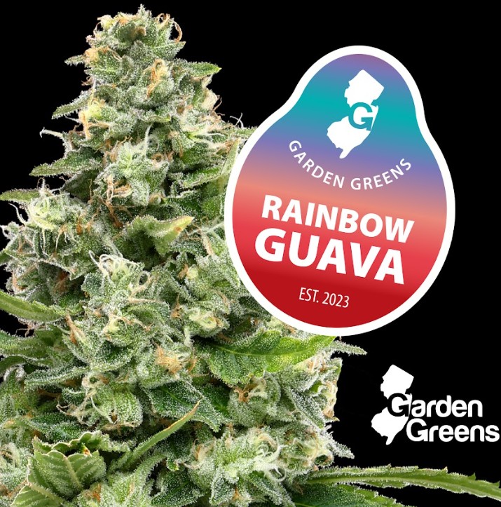 Flower | Mixed Nugs | Garden Greens | Rainbow Guava | 14g