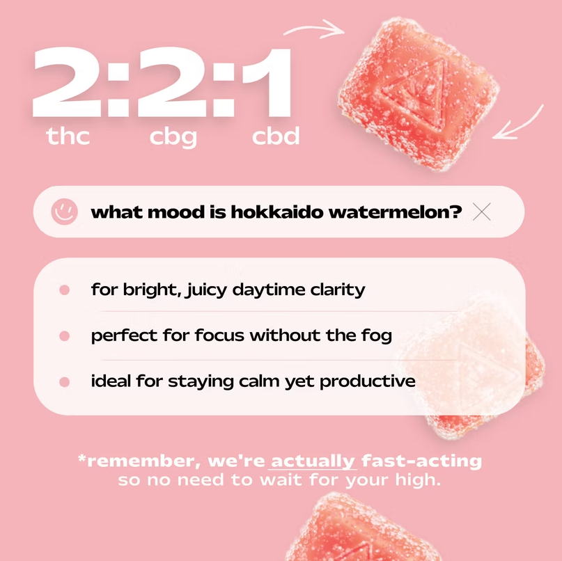 Goodtimes Hokkaido Watermelon 1pc Gummies