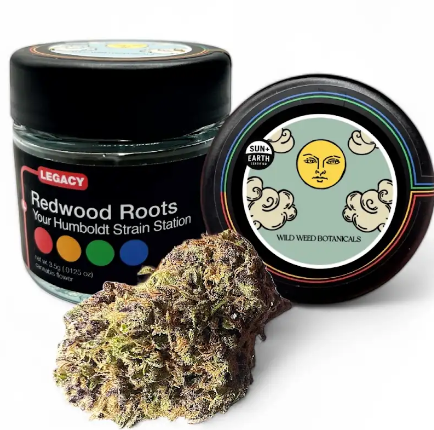 Redwood Roots - Flower: Blueberry