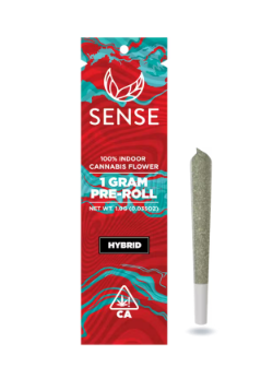 Preroll: Piescream