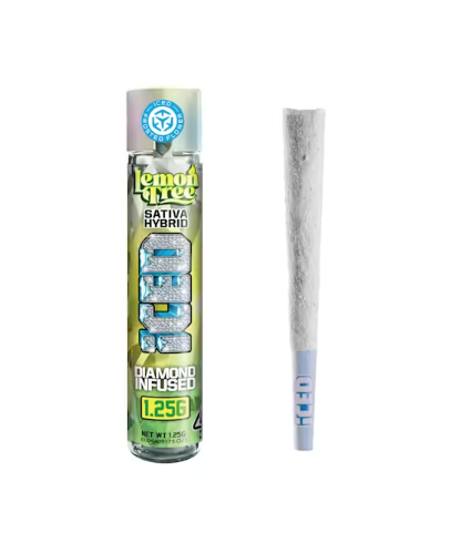 Iced Infused Preroll 1.25g - Lemon Tree (SH)