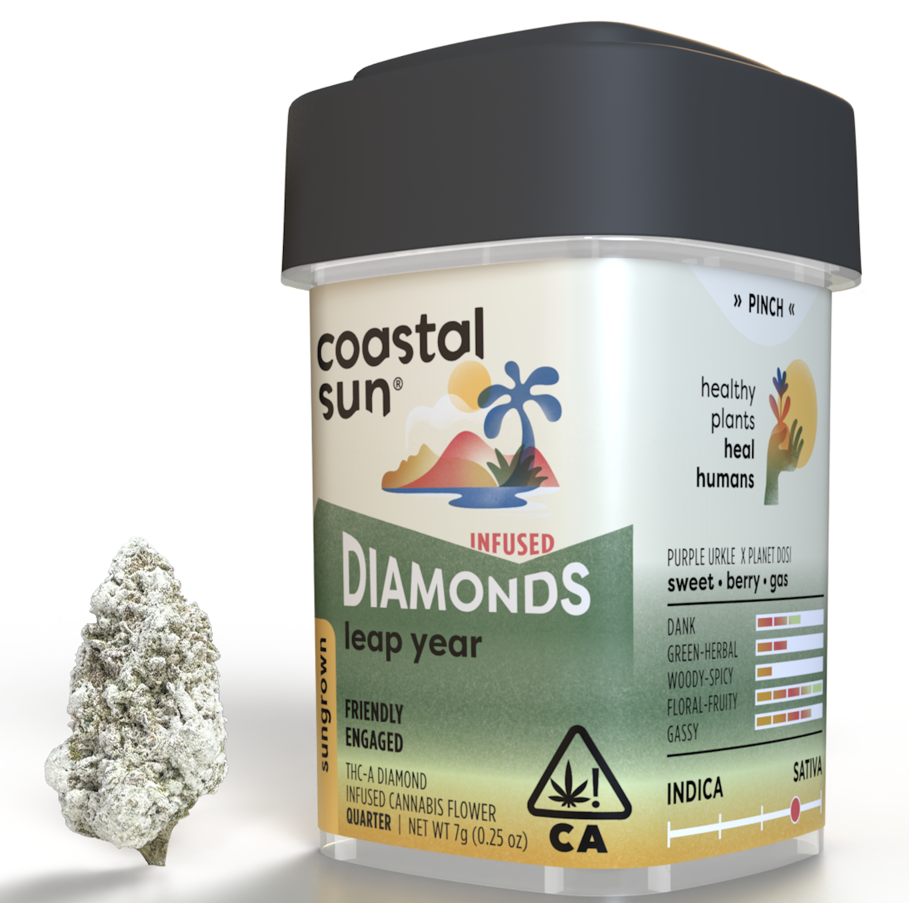 Coastal Sun Diamond Infused Flower 7g Quarter - Leap Year (SH)