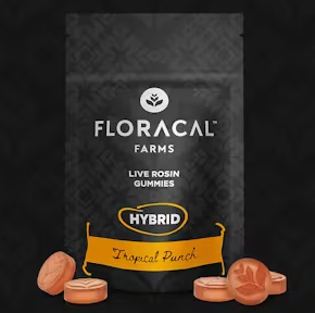 Floracal Tropical Punch Live Rosin Gummies 100mg 10pk