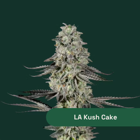 Botanist | Flower | LA Kush Cake | 3.5g