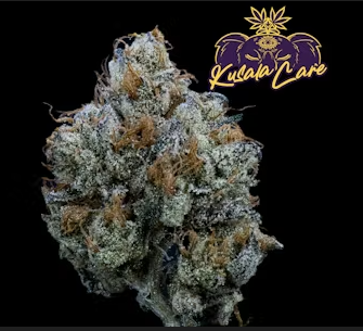 Kusala | Flower | Gary Payton | 3.5g