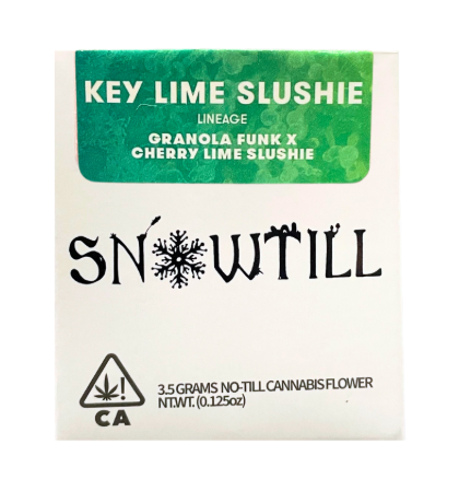 Snowtill - Flower: Key Lime Slushie
