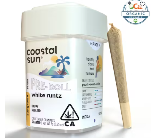 Coastal Sun Greenhouse Preroll 14pk 7g - White Runtz (H)