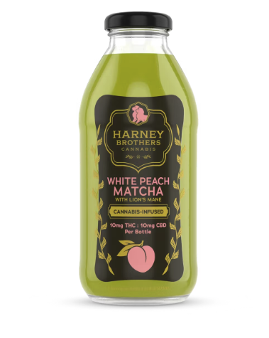 White Peach Matcha with Lions Mane 10mg Drink | Harney Brothers