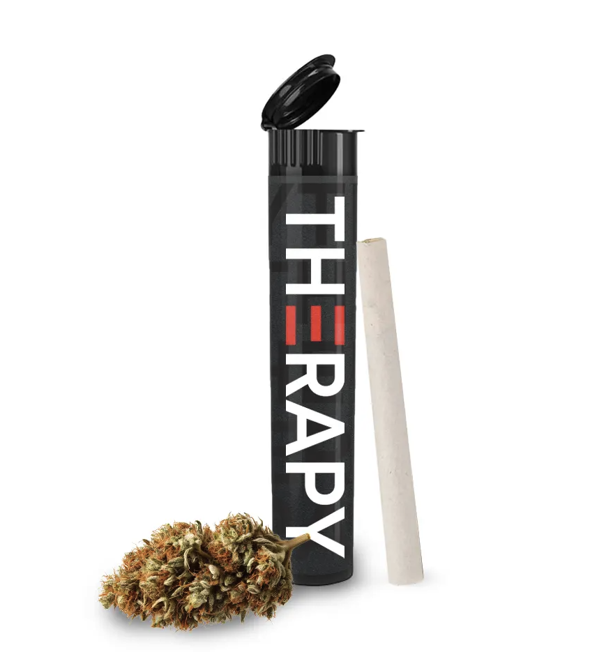 Double Grape .5g Prerolls 2 Pack | Therapy