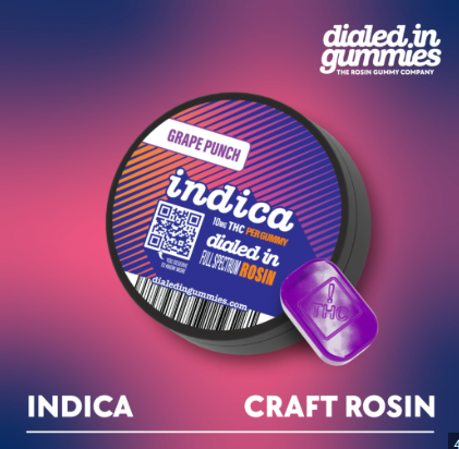Dialed In Grape Punch Rosin Gummies 100mg 20pk