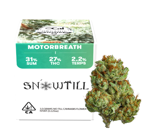 Snowtill Flower Motor Breath