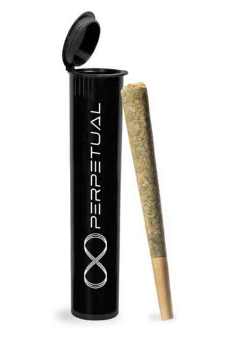 Perpetual Dirty Banana 1g Cone