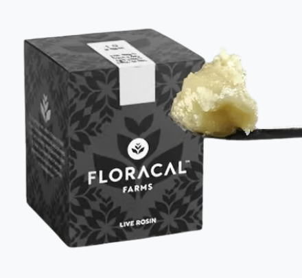 FloraCal Papaya Fumez 0.5g Live Rosin Badder