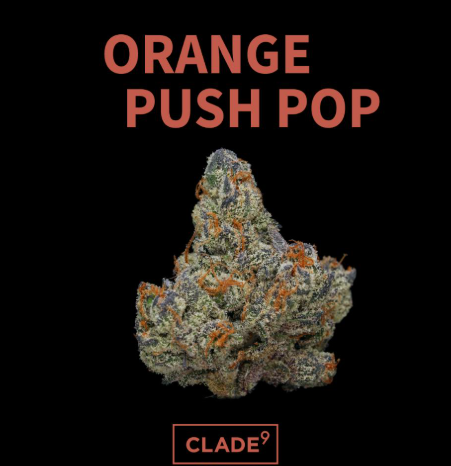 Clade 9 | Orange Push Pop | 1g