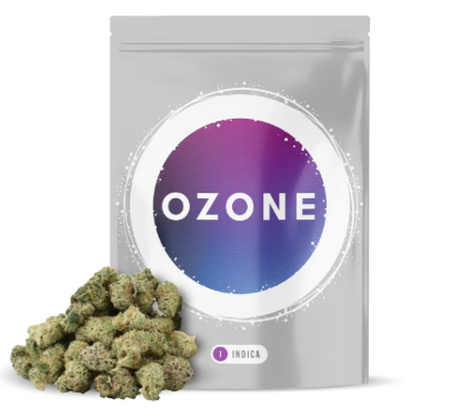 Ozone Garlic Cookies 28g