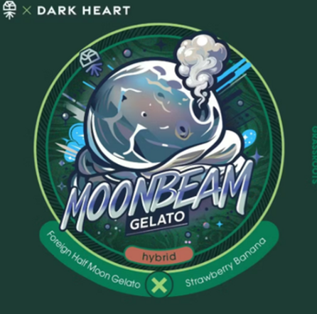 Grassroots | Dark Heart Collection | Flower | Moonbeam Gelato | 7G
