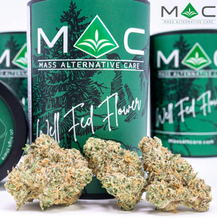 MAC Cartoons & Cereal 3.5g