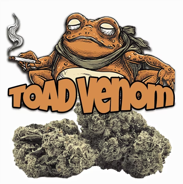 Green Dragon 3.5g Toad Venom