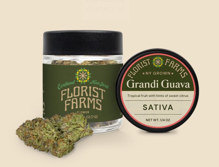 Florist Farms | Flower | Grandi Guava | 7g
