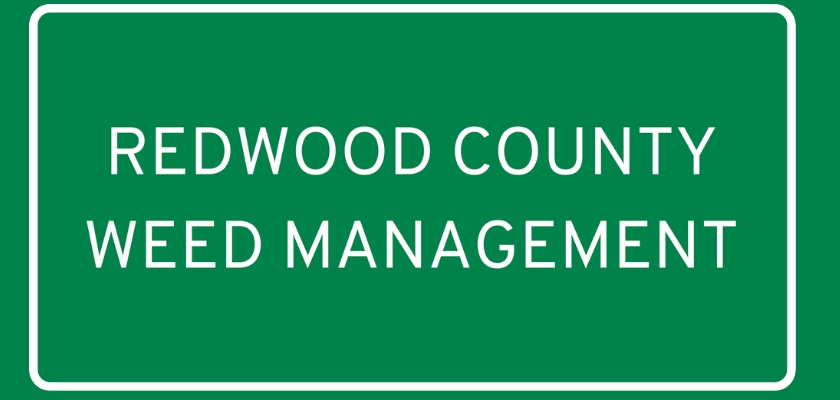 Preroll-IX | RCWM | Cake Mix | 1 g | 1 ct