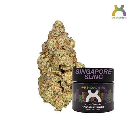 URBANXTRACTS | Singapore Sling | 3.5G
