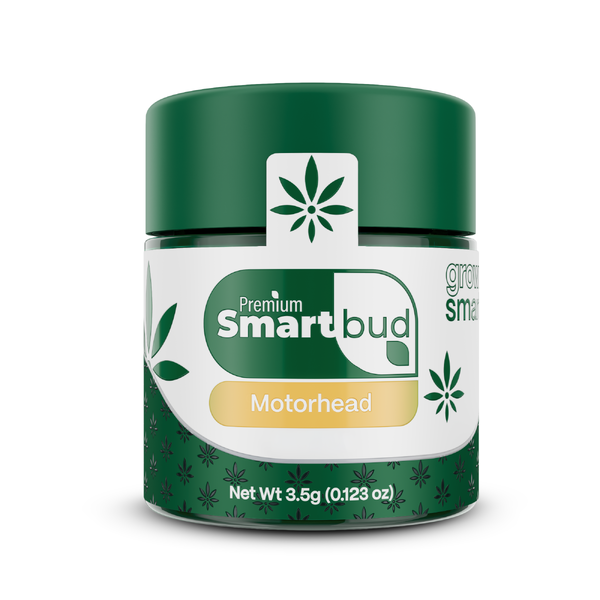 Motorhead 3.5g Flower | SmartBud