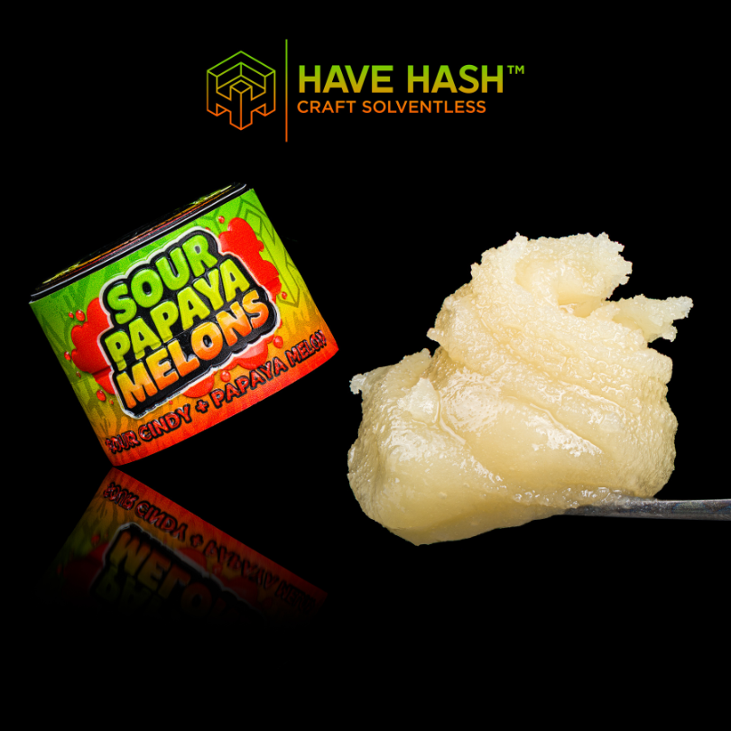 HAVE HASH - Cold Cure - Sour Papaya Melons T2 - Concentrates - 2.0g
